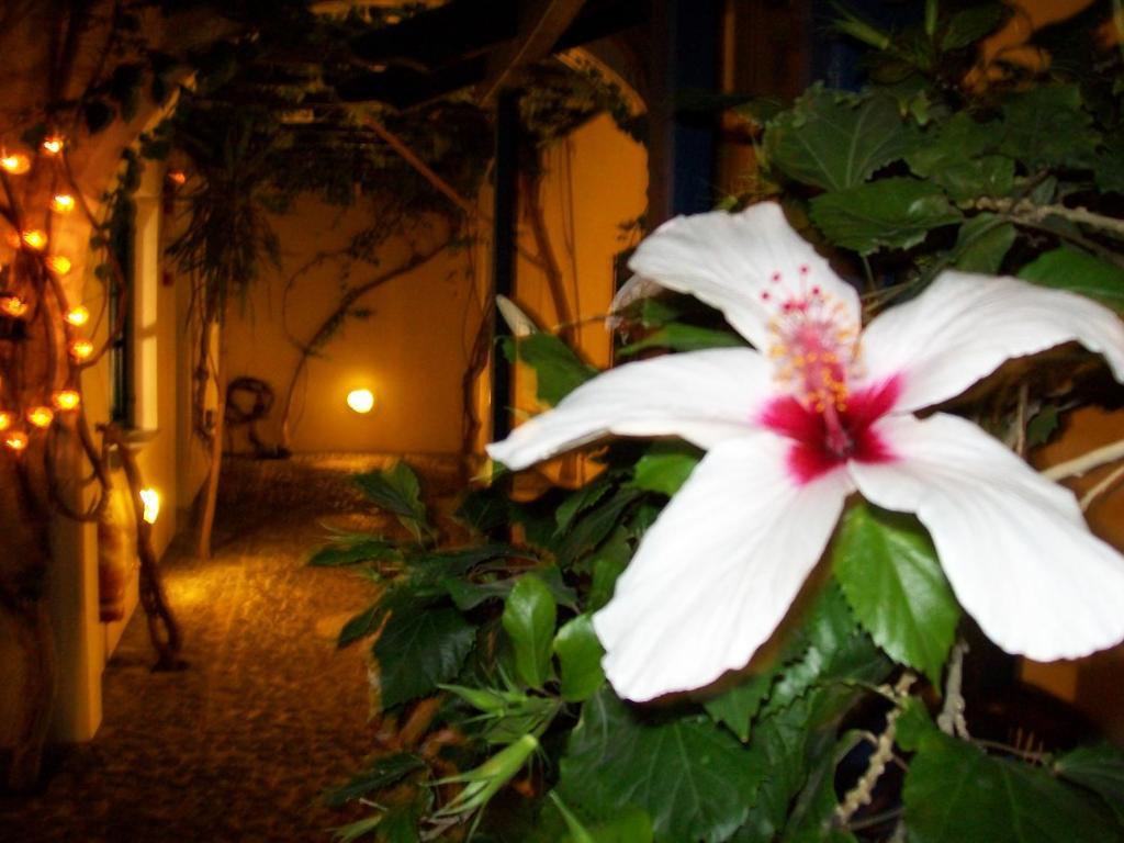 Villa Spyros Santorini Perissa  Luaran gambar